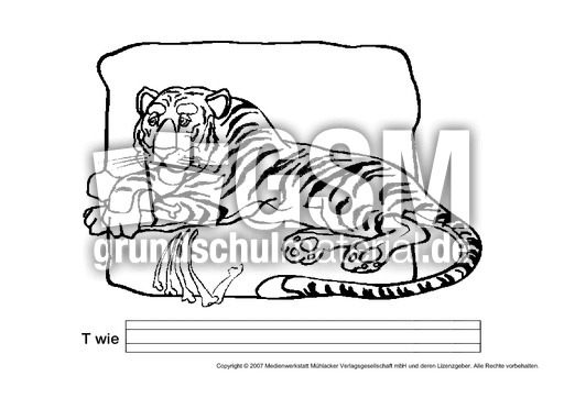 T-wie-Tiger.pdf